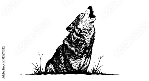 Detailed black and white illustration of a howling wolf, a wild animal in nature, hand-drawn vintage style art