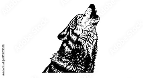 Striking black and white illustration of a howling wolf with detailed fur texture, representing wild nature and freedom