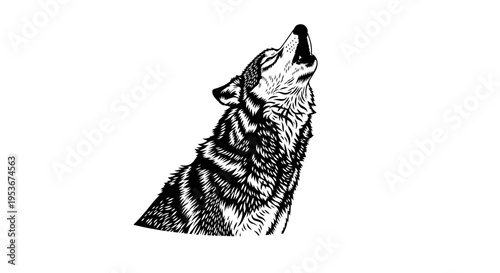 Detailed black and white illustration of a wild wolf howling, featuring a powerful and expressive animal in a sketch style