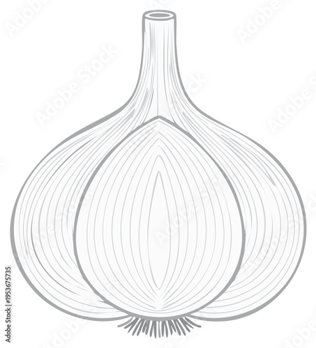 Garlic Clove Line Art Vegetable Ingredient Cooking Culinary Seasoning Herb