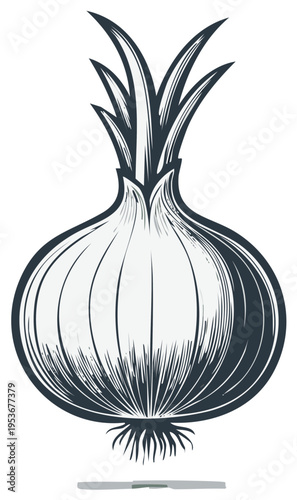 Stylized line art drawing of a single fresh whole onion with green sprouts and roots