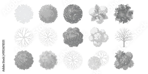 Architectural landscape plan symbols with top view tree and shrub icons for garden site map vector illustration