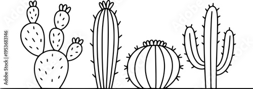 Hand Drawn Cacti Varieties Isolated White Background Simple Line cactus succulent
