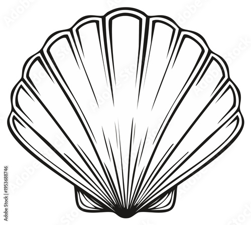 Detailed Vector Illustration of a Scallop Shell