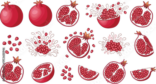 Hand Drawn Pomegranate Set with Whole and Sliced Fruit, Seeds Splash and Juice Elements in Vintage Engraving Style for Food Packaging and Design