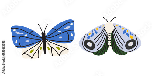Hand drawn vector illustration of different whimsical butterflies. Butterfly and patterned moth with decorative wings. Detailed insect nature elements isolated on white background