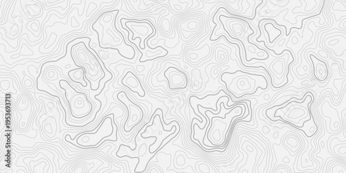 Seamless topographic contour map pattern with detailed mountain relief lines
Clean white background with abstract geographic elevation line texture