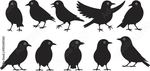 Bird silhouette illustration, ten stylized figures in varied poses with wings, beaks, and stances, nature wildlife theme, vector art, black isolated bold design