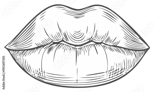 Engraved Lips Illustration, Black and White Line Art Style, Anatomy of the Mouth, Fashionable Beauty