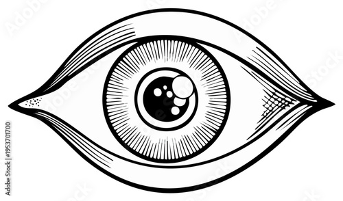 Stylized Eye Illustration in Black and White Graphic Design Human Vision Sensory Organ Anatomy