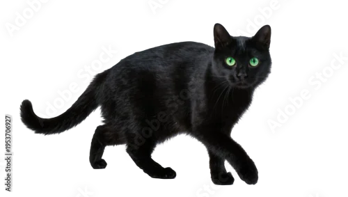 Fototapeta na wymiar Graceful black cat with vivid green eyes, walking forward, looking directly at the viewer, isolated PNG on transparent background, ideal for pet-related projects