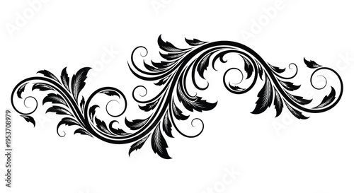 An elegant swirling black floral design with ornate curves and flourishes creates a decorative border silhouette high quality professional detailed modern