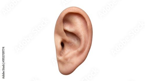 Close-up studio shot of a human ear against a clean white background, highlighting the intricate details and natural skin tones in a realistic style.