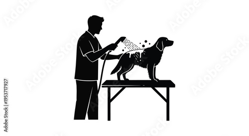 A man is washing a dog on a grooming table with a handheld sprayer presented as a silhouette high quality professional