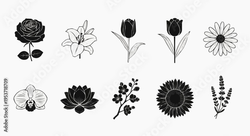 Collection of ten black and white detailed botanical illustrations featuring various flower types including rose, orchid, tulip, lotus, sunflower, daisy, lily, lavender, and cherry blossom elements.