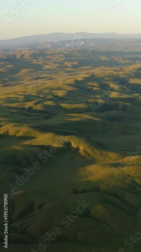 Vertical Aerial View of Rolling Green Hills at Golden Hour