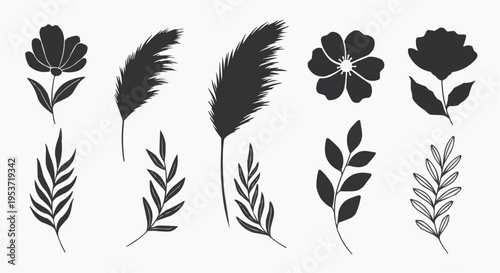 Set of minimalist botanical silhouette icons featuring various types of dark floral and leafy elements including pampas grass, ferns, and simple blossoms for modern rustic design.