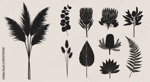 Collection of various stylized black botanical silhouettes including pampas grass, protea, eucalyptus, fern, and tropical leaves ideal for modern minimalist design elements.