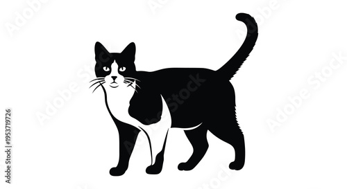 A striking black and white illustration of a cat posed in profile showcasing elegant feline features silhouette high quality professional detailed