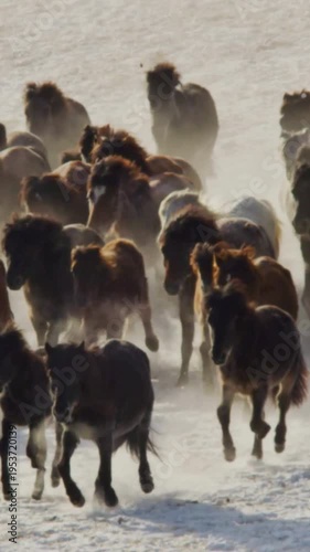 Vertical Herd of Horses Running Through Snow in Winter