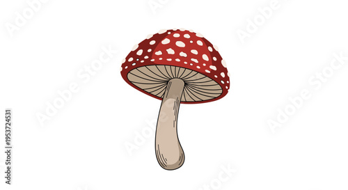 A simple hand-drawn illustration of a single red and white amanita muscaria mushroom, also known as a fly agaric toadstool.