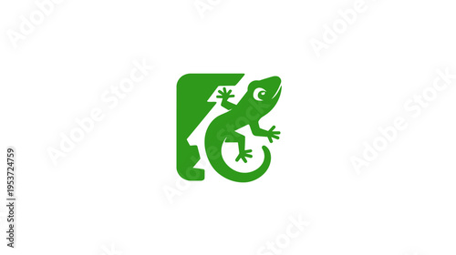 A green lizard within a stylized, partly open shape against a white backdrop