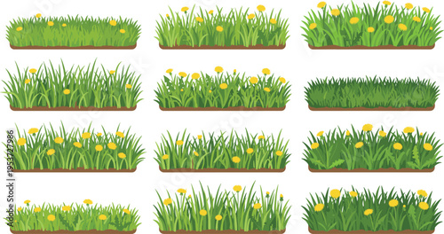 Green grass border with yellow dandelions, wild meadow grass patches, spring nature vector illustration