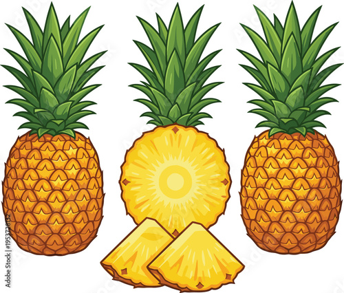 Fresh whole pineapple with yellow slices and wedges, tropical fruit vector illustration set, flat design