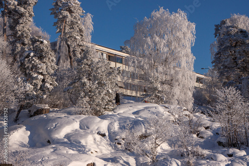 The rocky shore of a lake overgrown with trees and covered with snow on a winter day