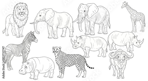 Group sketch of diverse wild animals including lions, elephants, zebras, and giraffes in a grayscale line art illustration.