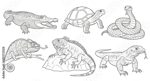 Collection of Playful Sketches Showcasing Reptiles and Amphibians.