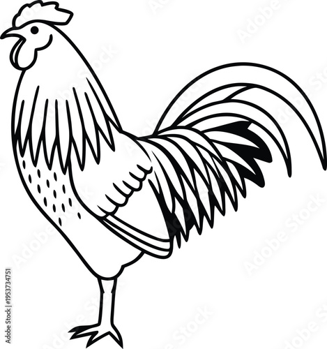 Vector illustration of a proud rooster and farm animal bird isolated on white background featuring a cartoon cockerel with detailed feathers and beak