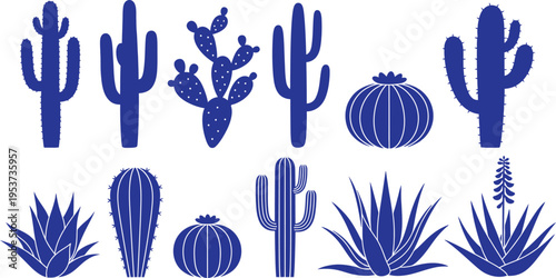 Collection of various cactus and succulent illustrations in blue on a white background featuring different shapes and species
