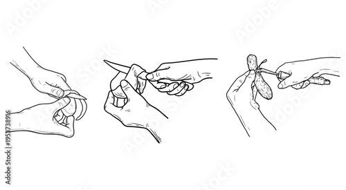 Hands peeling potatoes and tomatoes, slicing cucumbers, hand-drawn sketch. Vector illustration. Set of simple drawings isolated on background. Concept for culinary, healthy eating, and cooking. Not AI