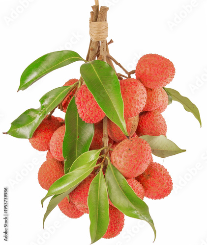 Grappe de litchis 