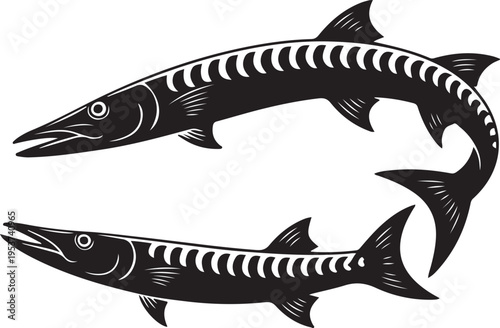 Two Silhouetted Barracuda Fish Swimming in Circle, Vector Art