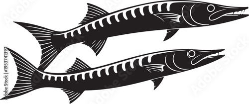 Two Black Barracuda Fish Illustration, Top View, Black And White