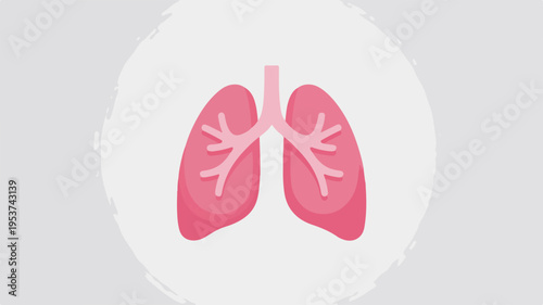 Human lungs with trachea and bronchi pink and white on a light gray background medical illustration
