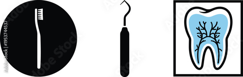 Set of three icons representing dental hygiene tools and tooth anatomy for professional clinic use Vector