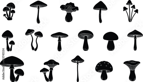 Set of black mushroom silhouette icons isolated on white background, various fungus species outline illustrations for nature designs, organic plant elements, 