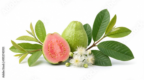 Fresh guava fruit with pink flesh half, leaf and flower isolated on white background.