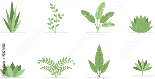 A collection of eight minimalist flat vector illustrations featuring various green house plants Vector