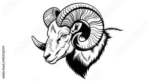 Detailed Black and White Illustration of a Majestic Rams Head.