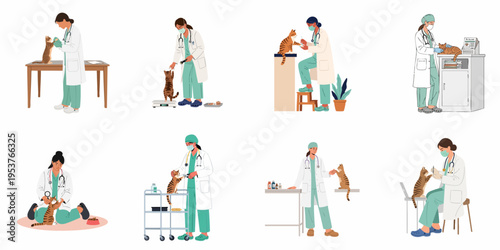 A collection of illustrations showing female veterinarians examining and providing medical care to cats in different clinical settings.