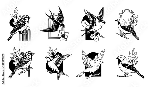 Collage style bird poster card vector set with hand sketched birds botanical and geometric design elements