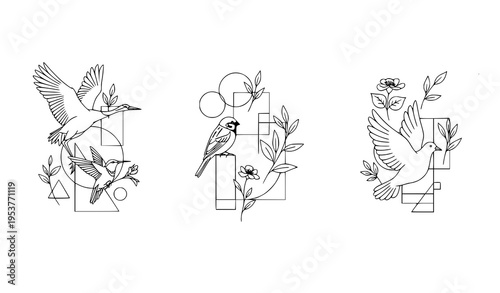 Minimal collage bird card vector collection modern sketched birds with geometric botanical posters