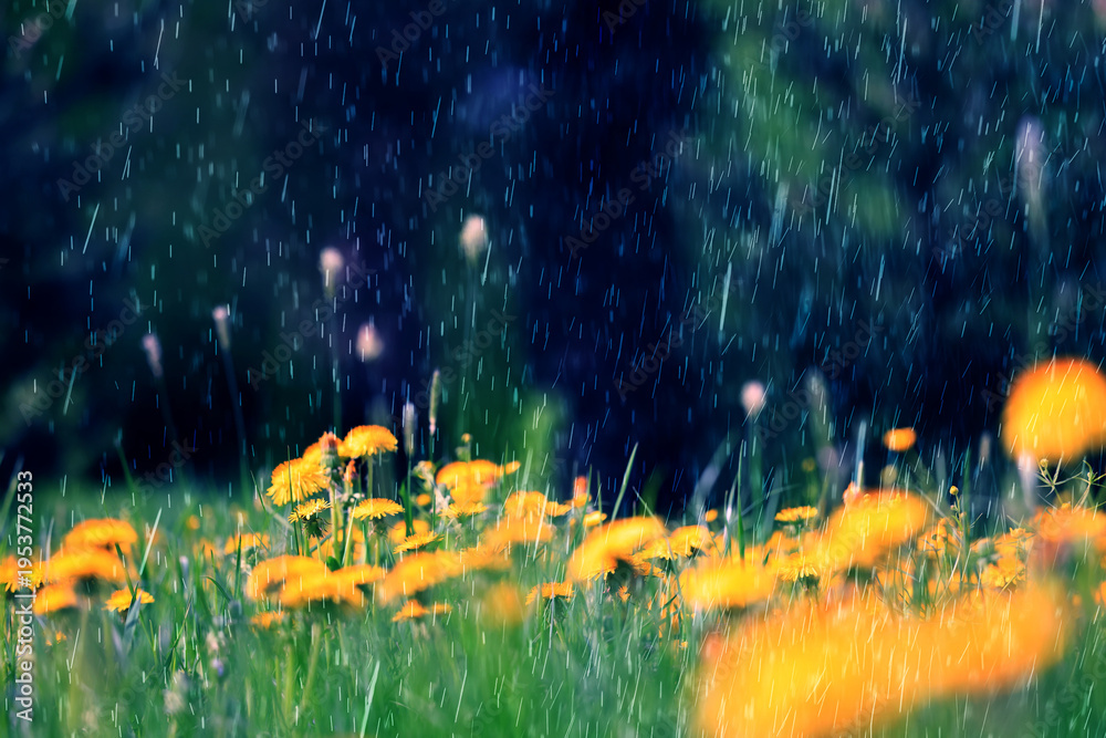 Naklejka premium summer rain on the background of green grass, drops in motion background of fresh nature