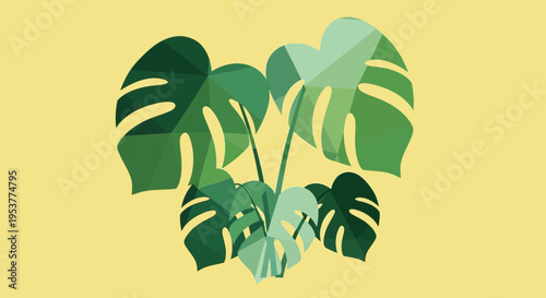 Monstera Deliciosa Plant Leaves Illustration.