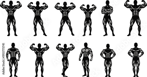 Muscular men posing in black and gray on white background bodybuilder muscle fitness athlete sport