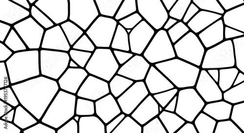 Voronoi geometric pattern vector, abstract organic cell structure background, black and white mosaic texture design